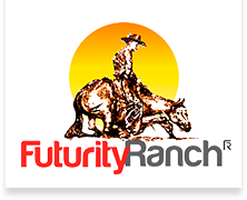 Futurity Ranch